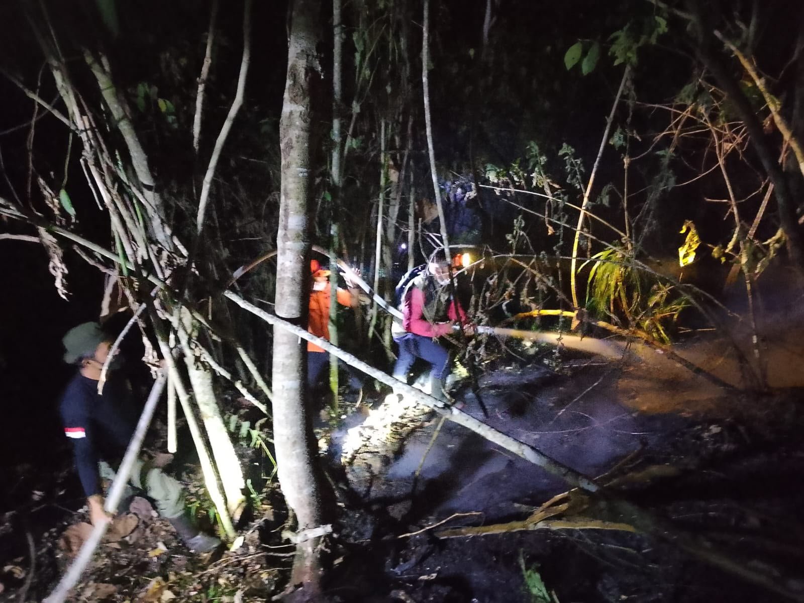 TRC-PB BPBD Sulteng Lanjutkan Penanganan Karhutla di Lore Utara, Setengah Hektare Area Ditangani