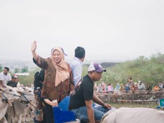 Wagub Reny Lamadjido Buka Lomba Karapan Sapi di Duyu,Fathur Razaq: Pemuda Lestarikan Budaya
